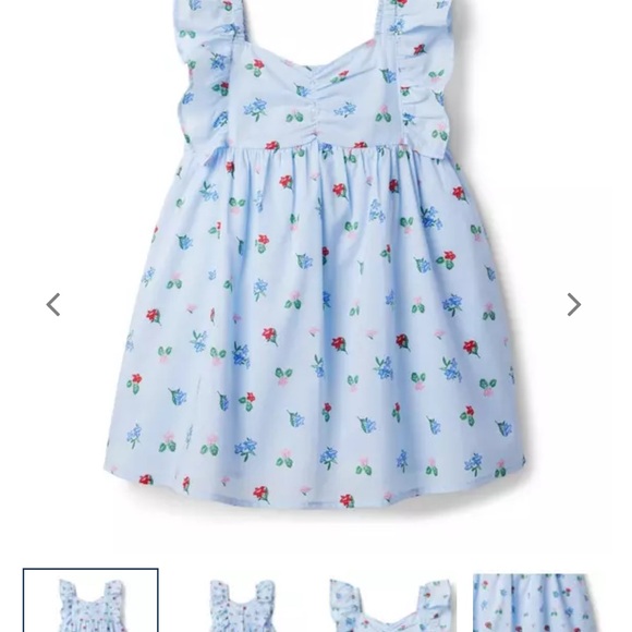 Janie and Jack Blue Floral Kids Dress - Picture 1 of 5